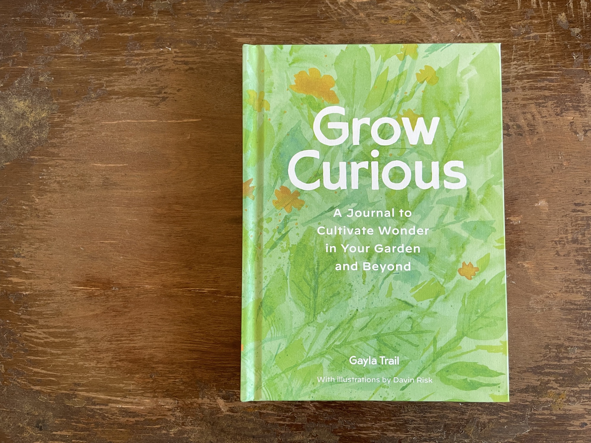 Grow Curious